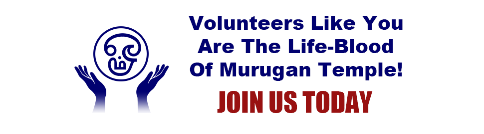 Join Us and Volunteer